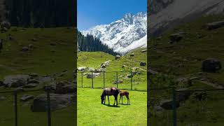 Download lagu Ufff ye nazare😍❤️#kashmir #jannatkashmir #mountains #sonmarg #travel #explore #ytshorts #vibes mp3 Download lagu Ufff ye nazare😍❤️#kashmir #jannatkashmir #mountains #sonmarg #travel #explore #ytshorts #vibes mp3