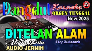 Download lagu Ditelan Alam - Karaoke (Nada Pria) Elvy Sukaesih || Dangdut Orgen Tunggal - Audio Jernih mp3