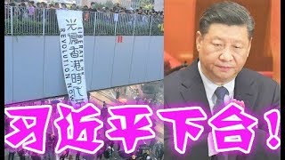 面对美国香港、习近平束手无策、中南海大内讧！