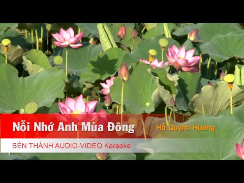 [Karaoke] Nỗi Nhớ Anh Mùa Đông - Hồ Quỳnh Hương | Beat Chuẩn