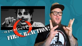 First Reaction to A PERFECT CIRCLE &quot;So Long and Thanks for all the Fish&quot; Official Video