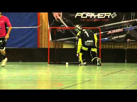 Elitlag besöker Malmö