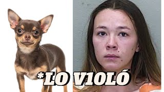 ELLA ABUS* SEX**LMENTE DE SU CHIHUAHUA 😧 LOGAN GUMINSKI