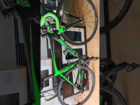 Cipollini Bond review