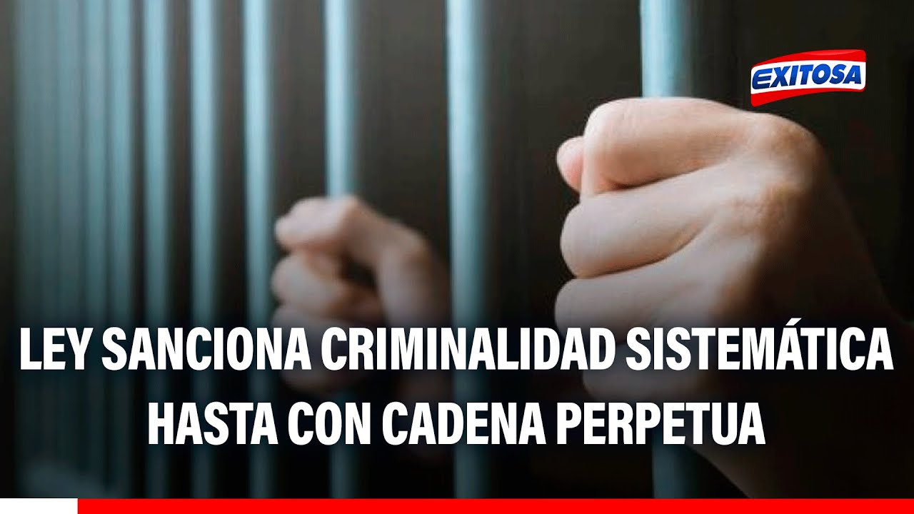 🔴🔵 Nueva ley sanciona hasta con cadena perpetua graves delitos cometidos con arma de fuego