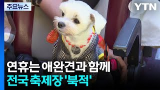 연휴는 애완견과 함께, 바지락 체험도...전국 축제장 '북적' / YTN