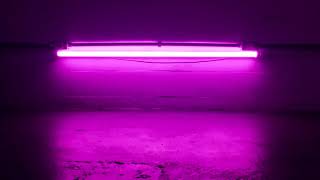 Pink Music Video