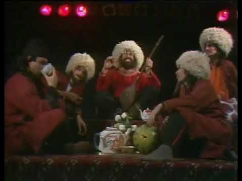 Rishad Shafi in a Nutshell