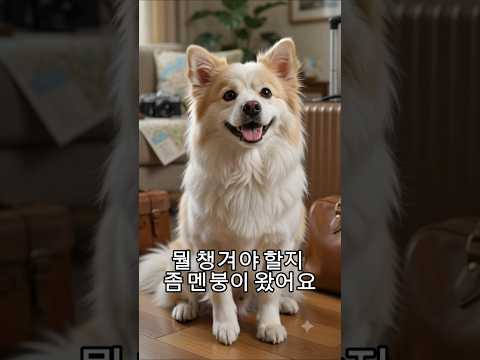 강아지랑 휴가여행가기 · AI상담