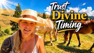Surrender Meditation with Horses for Faith, Peace, and Divine Timing