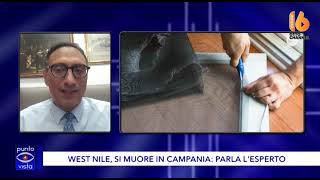 west nile si muore in campania parla l esperto