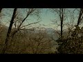 untitled film trailer