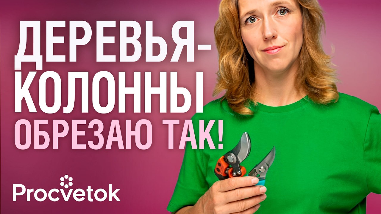 КОЛОННОВИДНЫЕ ДЕРЕВЬЯ ОБРЕЗАТЬ ОБЯЗАТЕЛЬНО! Подробно об обрезке колонновидных и компактных сортов