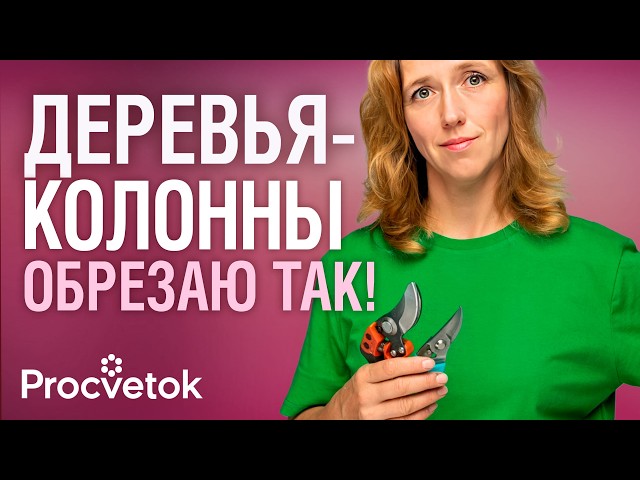 КОЛОННОВИДНЫЕ ДЕРЕВЬЯ ОБРЕЗАТЬ ОБЯЗАТЕЛЬНО! Подробно об обрезке колонновидных и компактных сортов