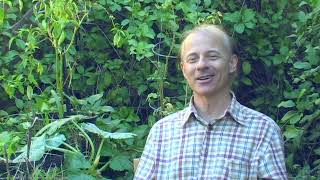 Probyn Gregory on recording \