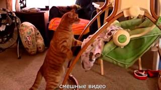 СМЕШНЫЕ ВИДЕО ПРИКОЛЫ РОССИЯ