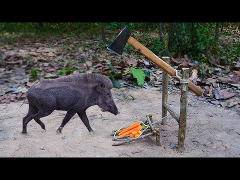 Amazing Quick Powerful Wild Pig Trap Make By Axe That Work 100%