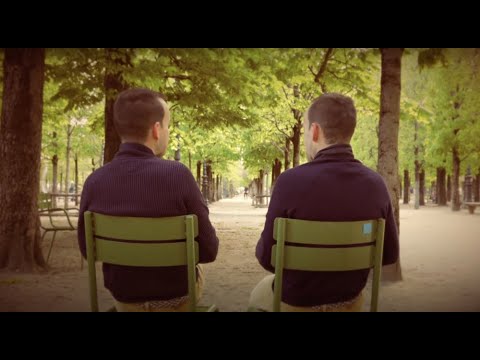 Nicolas FRAiSSiNET - DIS-MOI ♊️ ( Clip officiel ) - "Des étoiles dans les yeux" - jour 03