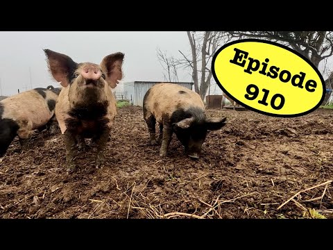 Pigs Get an Upgrade and GPS Gets A Mount!