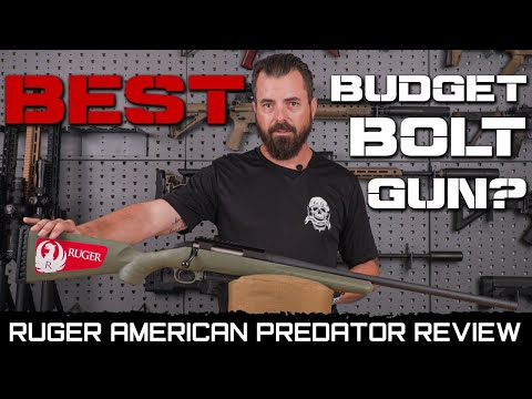 Ruger American Predator Review - Best Budget Bolt Gun?
