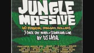 Video thumbnail of "Wicked Wicked Jungle Is Massive (Ali G Indahouse)"