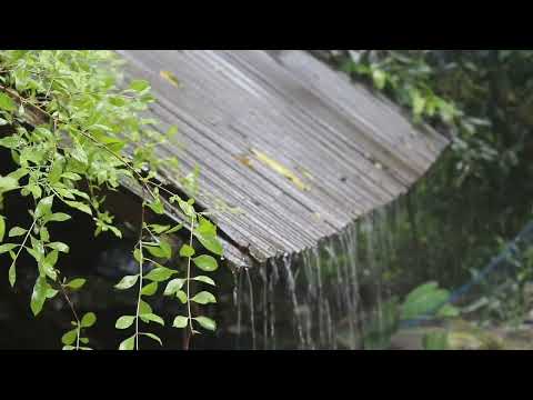 THE MOST RELAXING SOUND OF RAIN, the sound of nature to Sleep, Relax, Study, Reduce Stress