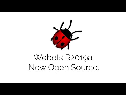 Webots Video