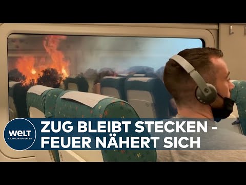 FLAMMENHÖLLE: Winde fachen verheerende Waldbrände und Feldfeuer immer wieder an