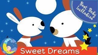 LULLABIES Lullaby for Babies To Go To Sleep Baby Lullaby Baby Songs Go To Sleep Lullaby Sleep Music