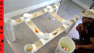 FISH TABLE AQUARIUM **Cheap diy Step by Step PVC PIPE Build at Home*