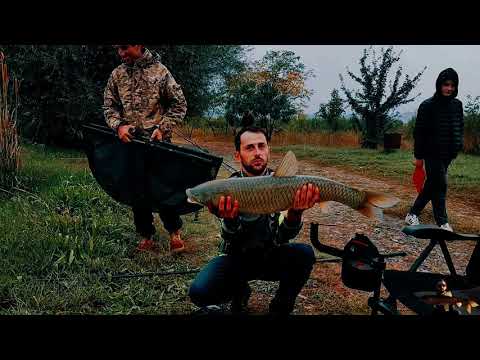 Commercial Tournament: Feeder vs Method Feeder 04.10.2020 Location: Debeda lake