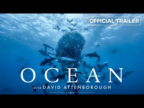 Trailer-Vorschau: Ozean mit David Attenborough