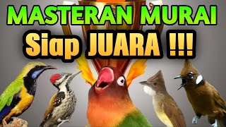 Download lagu MASTERAN MURAI BATU SUARA JERNIH ISIAN ROLL TEMBAK LAGU JELAS MUDAH DITIRU mp3 Download lagu MASTERAN MURAI BATU SUARA JERNIH ISIAN ROLL TEMBAK LAGU JELAS MUDAH DITIRU mp3
