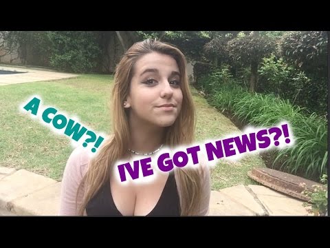 Teddy Moutinho Tits