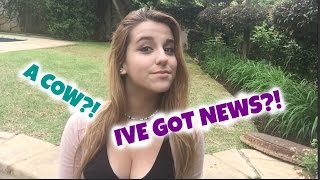 UPDATE #2