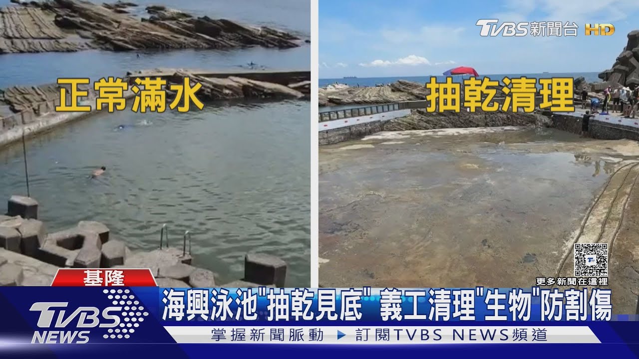 海興泳池「抽乾見底」義工清理「生物」防割傷