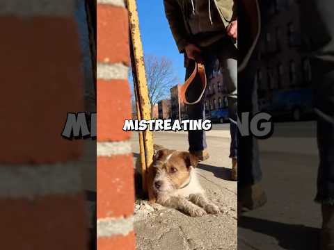 I Stole This Man’s Dog.