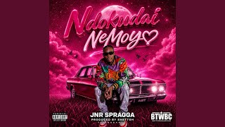 Ndokudai NeMoyo Ndokudai NeMoyo