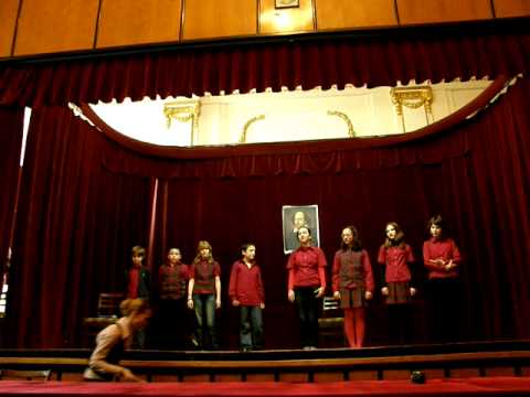 Colegiul Al Papiu Ilarian Tg. Mures - Will _S cls a VI -a