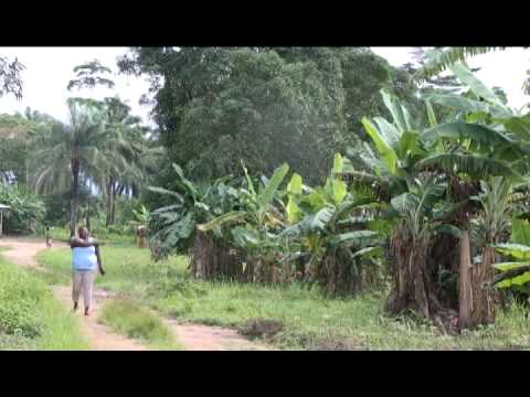 Osusu = Sierra Leone Comedy -Part 2/4