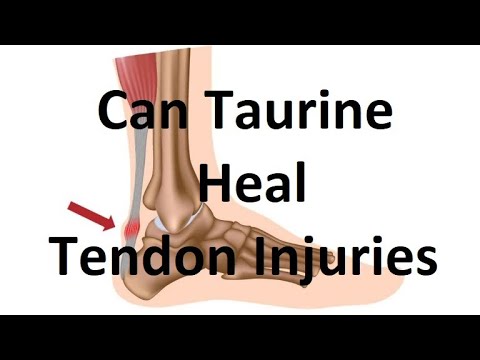 Can Taurine Heal Tendon Injuries