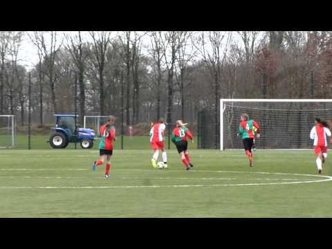 Zuidvogels MC1 - IJsselmeervogels MC1 - 01-02-2014 (Redding Laurine)