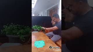 Download lagu berlatih konsentrasi dan tenaga dalam bismilah.... mp3 Download lagu berlatih konsentrasi dan tenaga dalam bismilah.... mp3