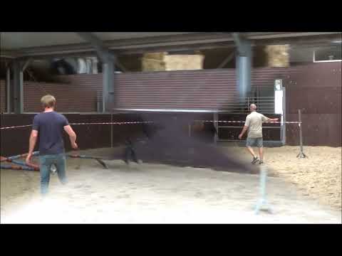 Pepper van de Lipperthoeve: UNITED TOUCH S x ALBARAN XX