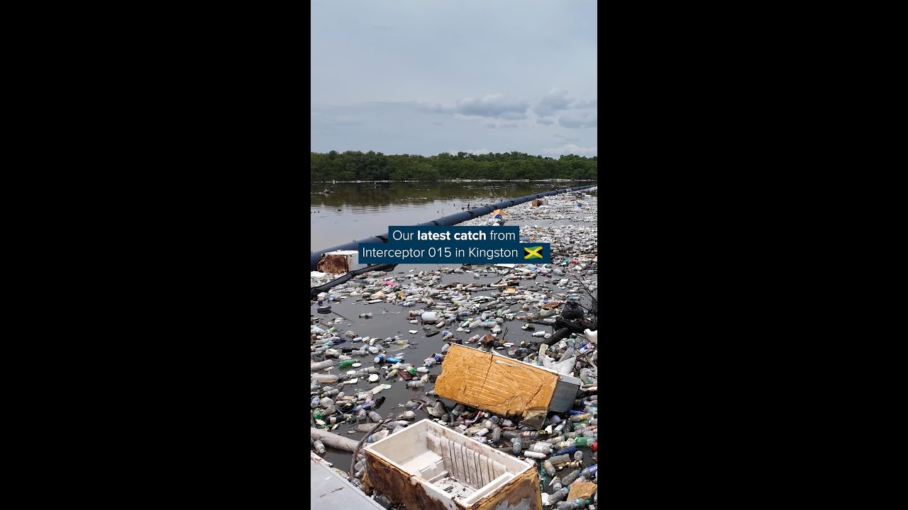 Latest trash catch in Jamaica