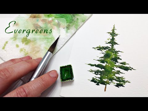 EASY brushstrokes for REALISTIC pine trees » how to paint watercolor evergreens for beginners
