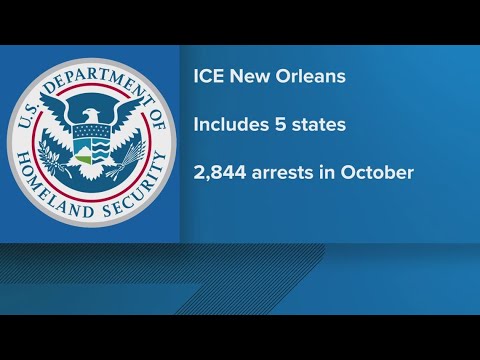 'Operation Swamp Sweep': Massive New Orleans Immigration Enforcement Begins Monday