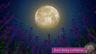 Sleep Music For Baby 🎵 Baby Fall Asleep In 5 Minutes With Soothing Lullabies 🎵 Baby Sleep Music