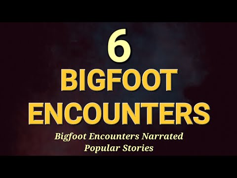 BEST OF BIGFOOT ENCOUNTERS NARRATED - POPULAR STORIES Volume 4