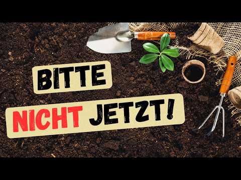 Der bessere Gartenstart – so startest du entspannt und erfolgreich ins neue Gartenjahr